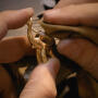 Elephant Anhänger 750 Gelbgold mit Brillanten