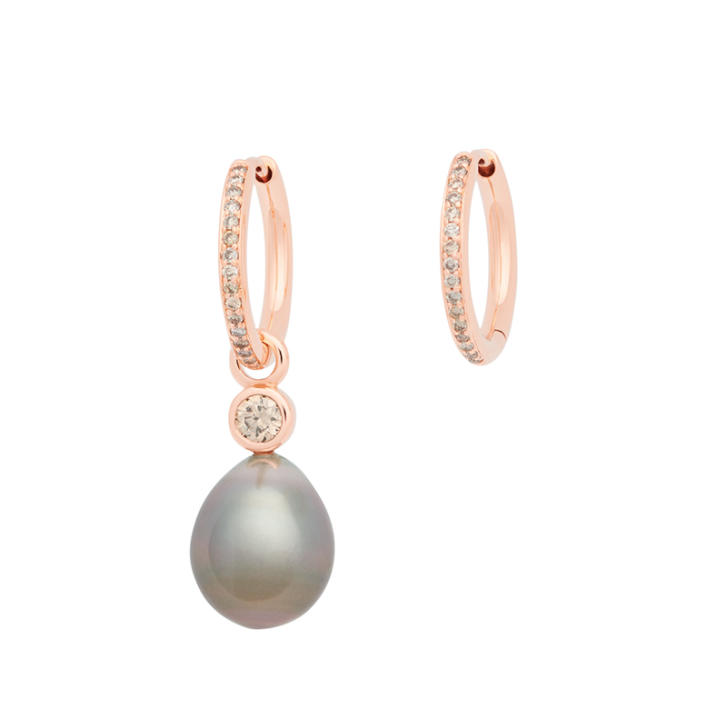 Bron Confetti Ohrring Einhänger 750 Roségold mit Tahiti Perle & champagner Brillant