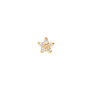 Shooting Stars Ohrstecker 750 Gelbgold mini mit...