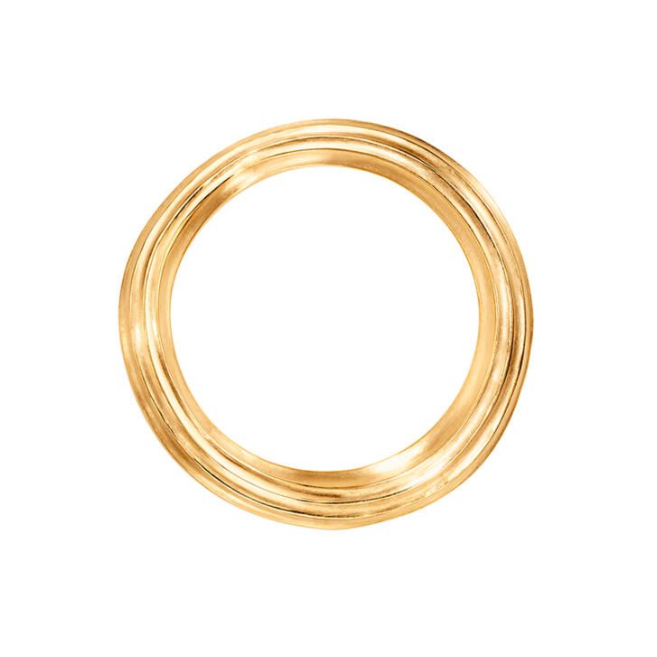 Under The Sea Ring 750 Gelbgold