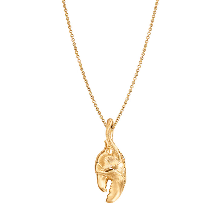 Young Fish Claw Anhänger 750 Gelbgold, medium
