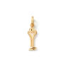 Bird Family Key t0 the Heart Charm 750 Gelbgold